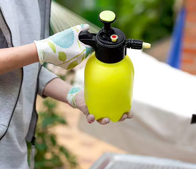 Skilled Residential Small Black Ant Service in Bloomfield, NJ