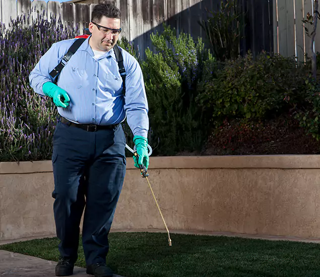 Reliable Termite Barrier Treatment Experts in Bloomfield, NJ