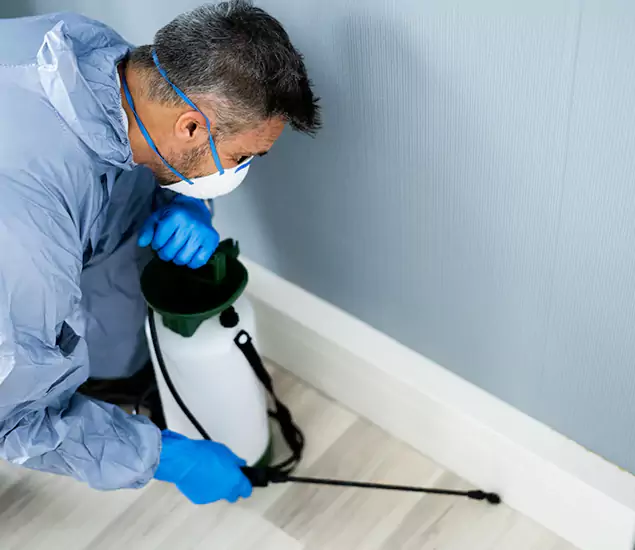 Reliable Termite Cost Experts in Bloomfield, NJ