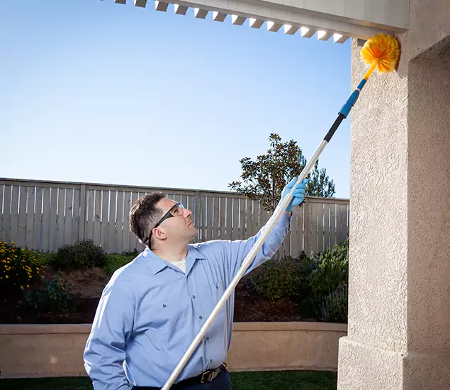Your Trusted Wasp Removal Company in Bloomfield, NJ