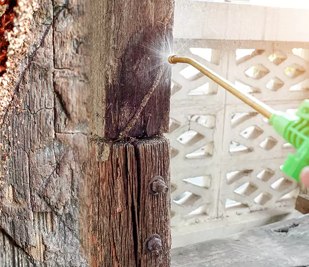 About Wood Termite Treatment Services in Bloomfield, NJ