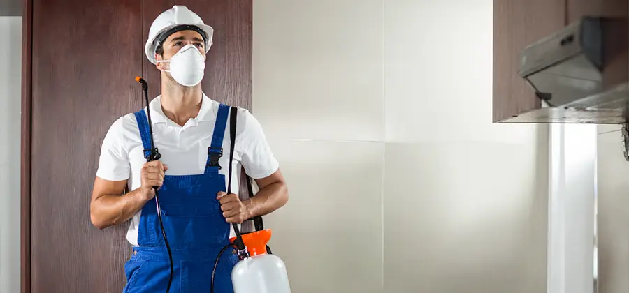 Per Room Bed Bug Cost in Bloomfield