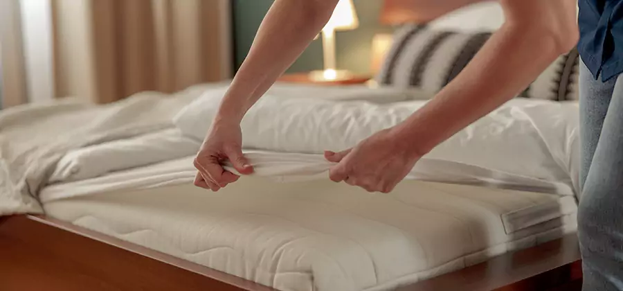 Bed Bug Extermination Services in Bloomfield