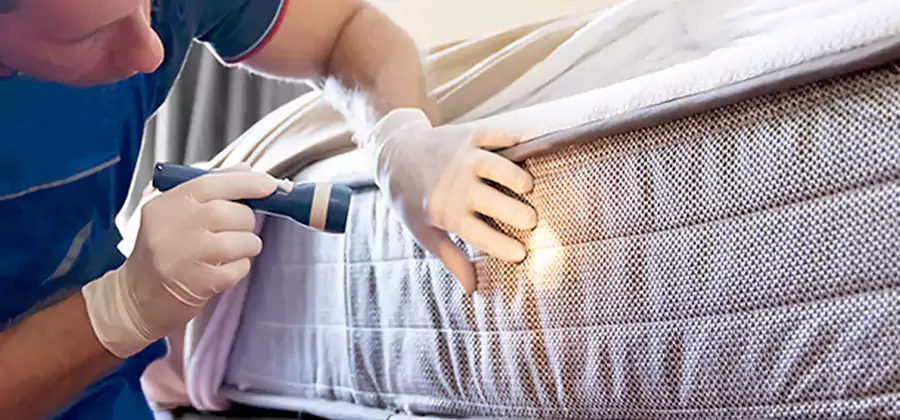 Residential Bed Bug Treatment Cost in Bloomfield