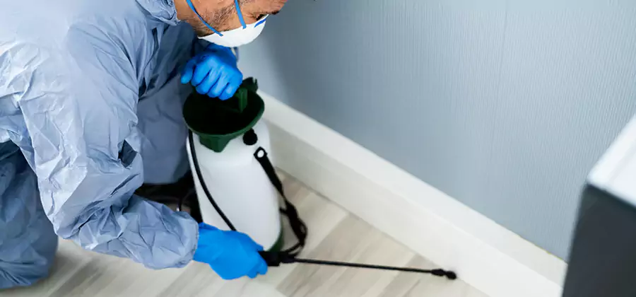 Fumigate Apartment Roaches in Bloomfield