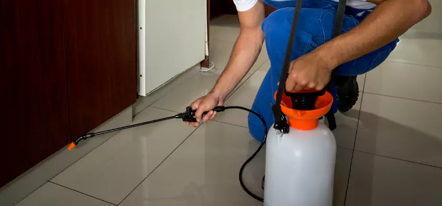 Indoor Mosquito Treatment in Bloomfield
