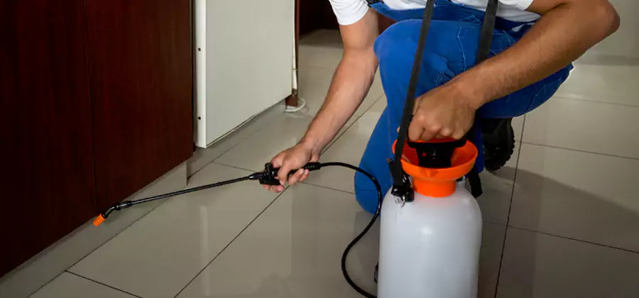 Indoor Insect Killer Solutions in Bloomfield