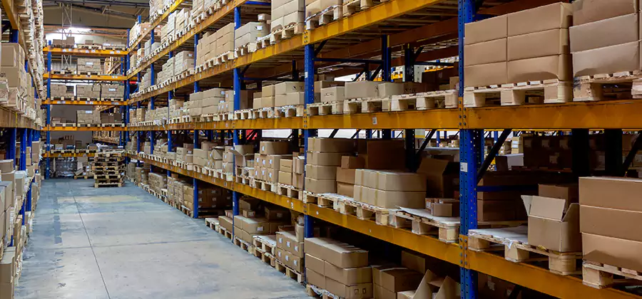 Warehouse Pest Control in Bloomfield
