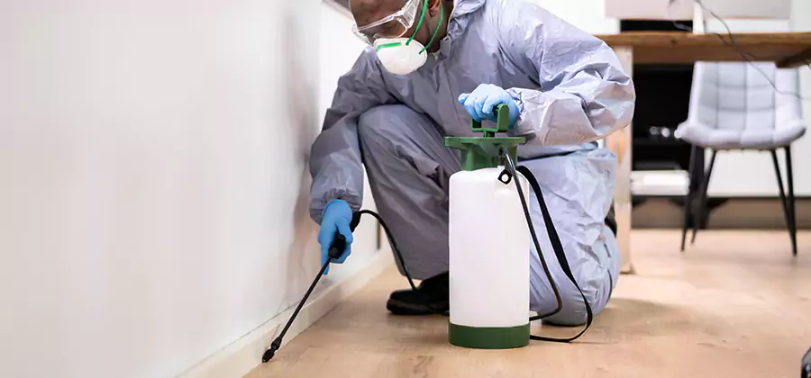 Long Lasting Mosquito Treatment in Bloomfield