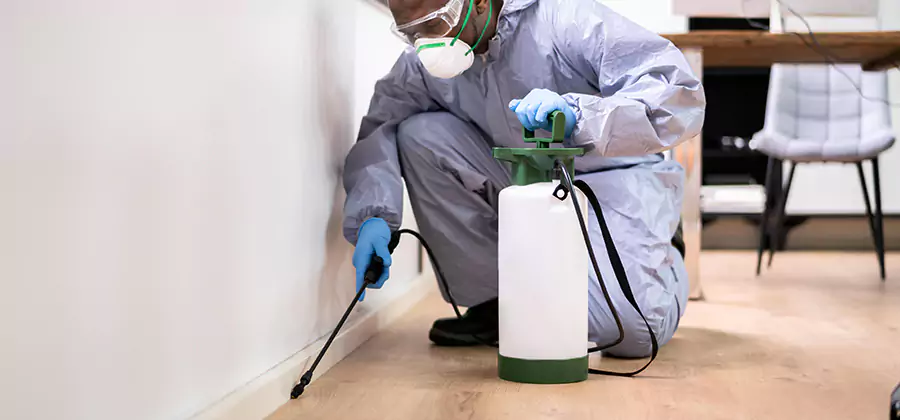 No Tent Termite Extermination With Electric Tool in Bloomfield