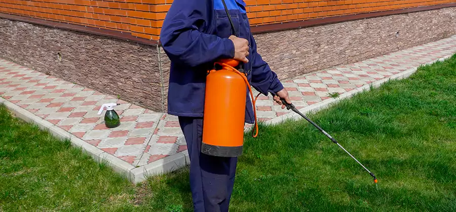Non Toxic Termite Treatment in Bloomfield