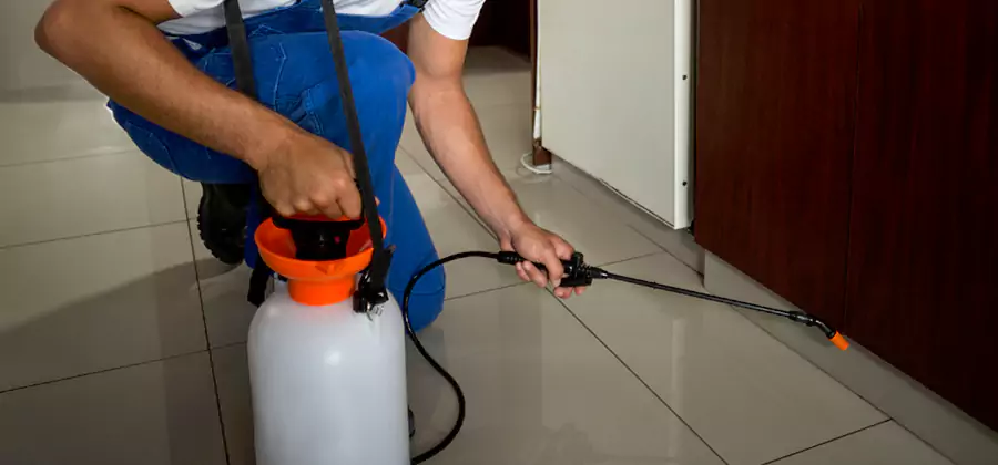 One Time Termite Control in Bloomfield