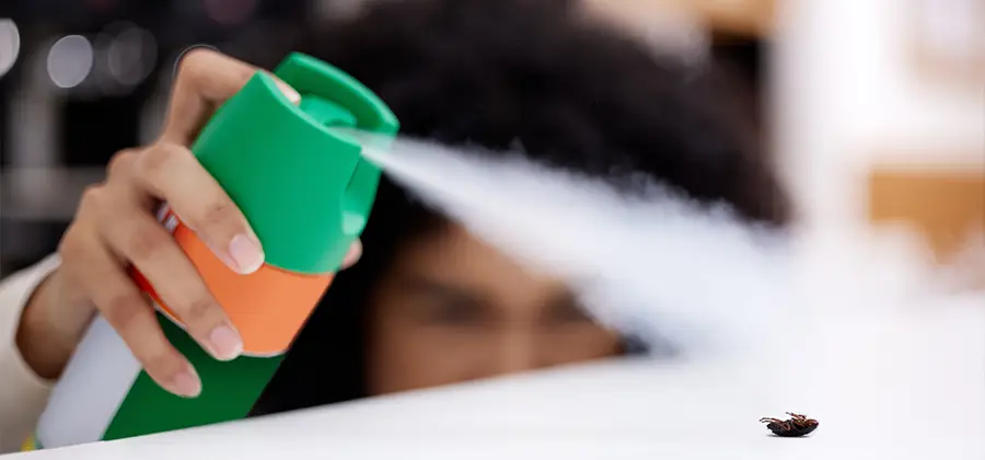 Child Safe Bed Bug Treatment in Bloomfield