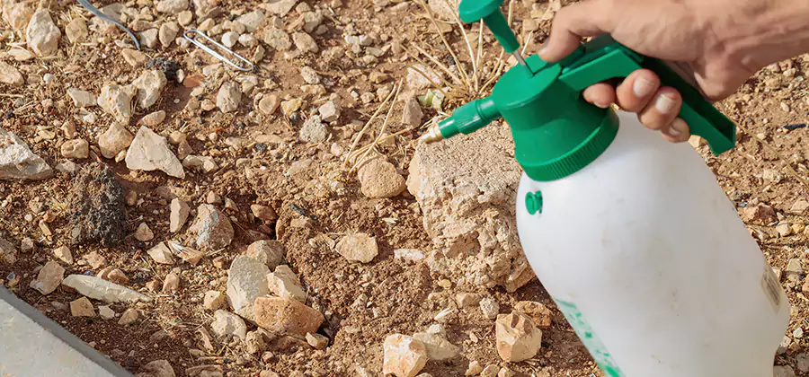 Heat Treatment Termite Cost in Bloomfield