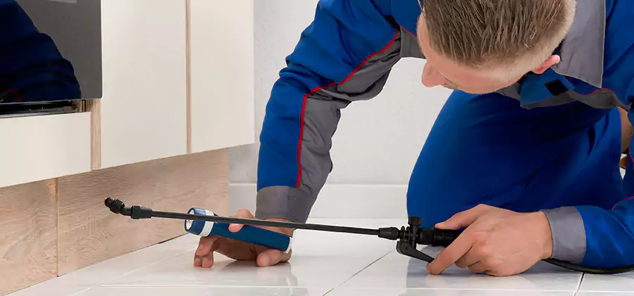 Moisture Treatment For Termite Control Service in Bloomfield