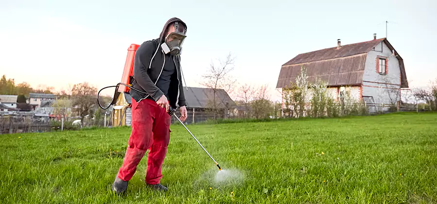 Flea and Tick Pest Control in Bloomfield