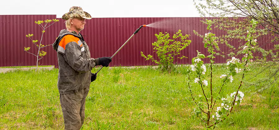 Flea and Tick Spray for Yard in Bloomfield