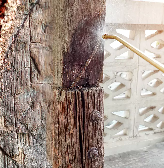 Why Choose Bloomfield Pest Control Pro for Attic Termite Treatment in Bloomfield, NJ?