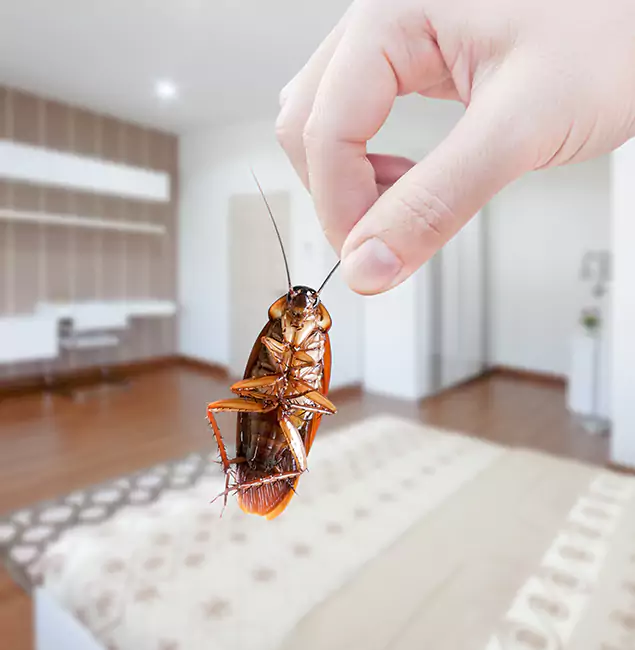 Why Bloomfield Pest Control Pro Stand Out for Bed Bug Fumigation in Bloomfield, NJ?