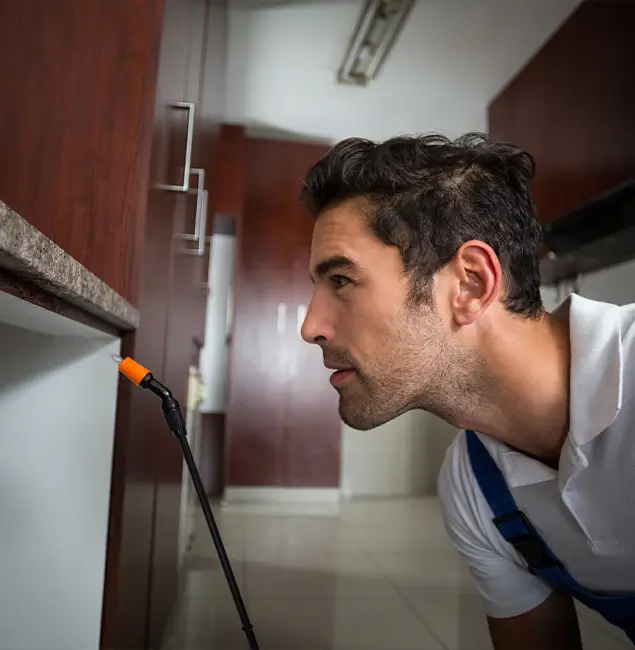 Why Choose Bloomfield Pest Control Pro for Bed Bug Removal Cost in Bloomfield, NJ?