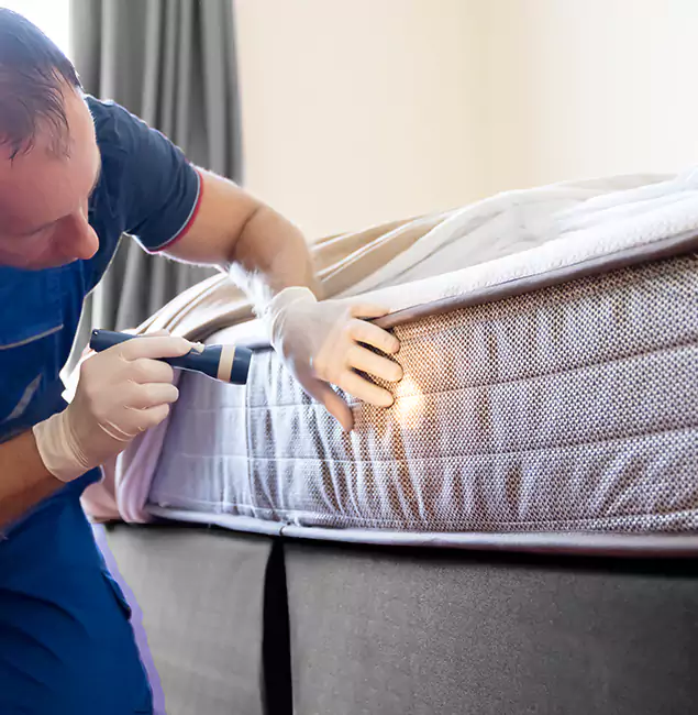 Why Choose Bloomfield Pest Control Pro for Bed Bug Services in Bloomfield, NJ?