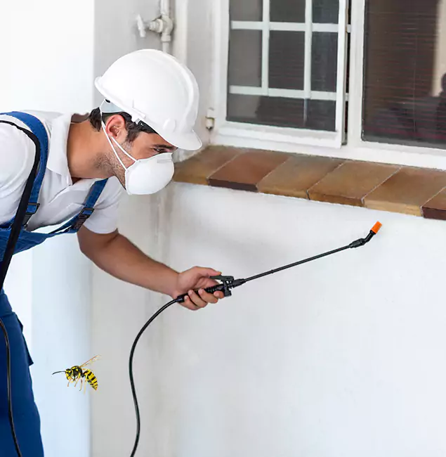 Why Bloomfield Property Owners Choose Bloomfield Pest Control Pro for Bee Nest Removal?