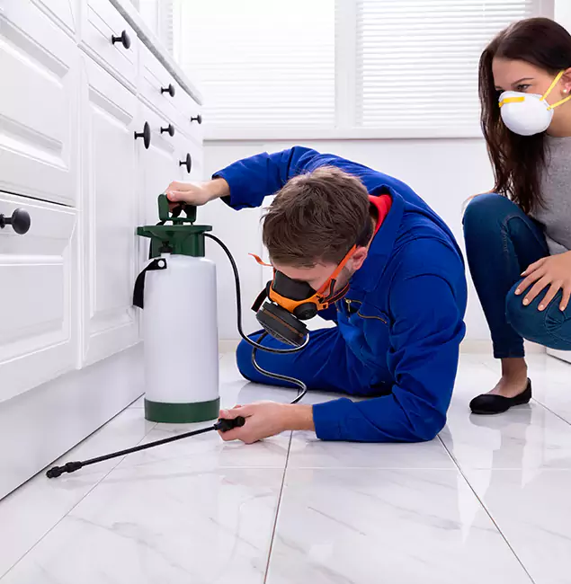 Why Choose Bloomfield Pest Control Pro in Bloomfield, NJ?