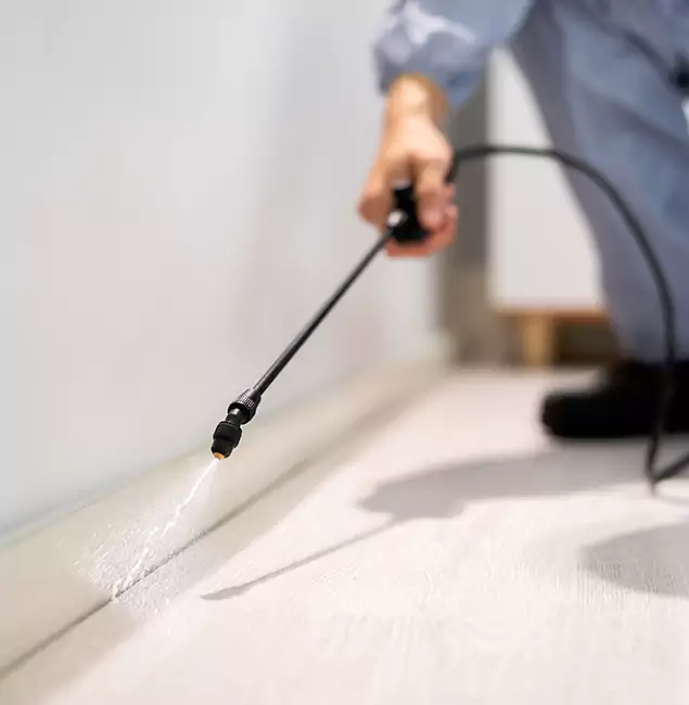 Why Choose Bloomfield Pest Control Pro for Termite Treatment in Bloomfield, NJ?