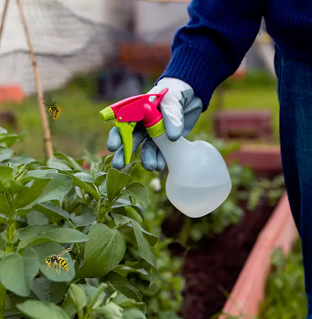 Why Bloomfield Homeowners Choose Bloomfield Pest Control Pro for Honey Bee Removal?