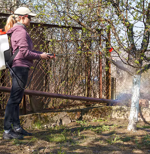 Why Bloomfield Homeowners Choose Bloomfield Pest Control Pro for Mosquito Abatement?