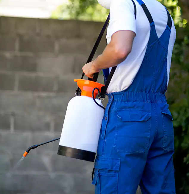 Why Bloomfield Homeowners Rely on Bloomfield Pest Control Pro for Mosquito Control?