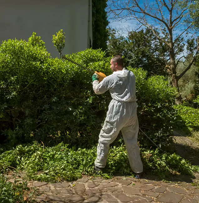 Why Bloomfield Pest Control Pro Leads Mosquito Control in Bloomfield, NJ?