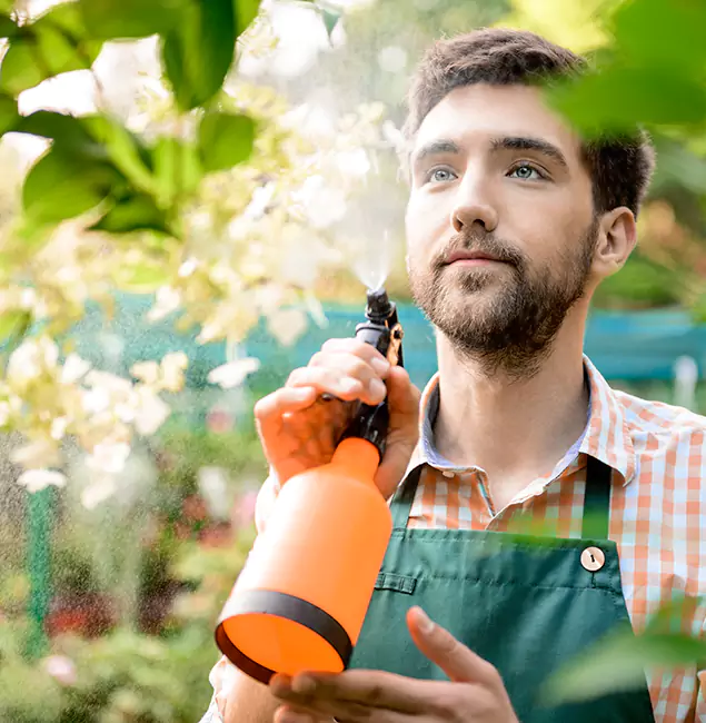 Why Bloomfield Pest Control Pro Is the Best Mosquito Control Company in Bloomfield, NJ?