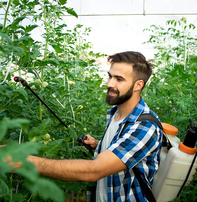 Why Bloomfield Homeowners Choose Bloomfield Pest Control Pro for Mosquito Spraying?