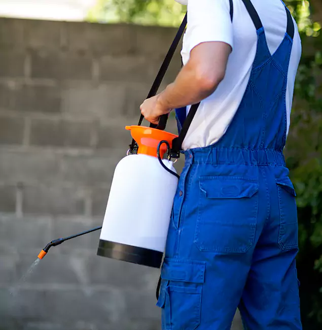 Why Bloomfield Pest Control Pro Delivers the Best Mosquito Control in Bloomfield, NJ?
