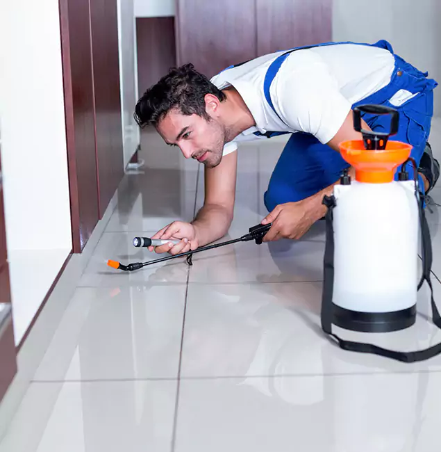 Why Bloomfield Pest Control Pro Is the Proven Choice in Bloomfield, NJ?