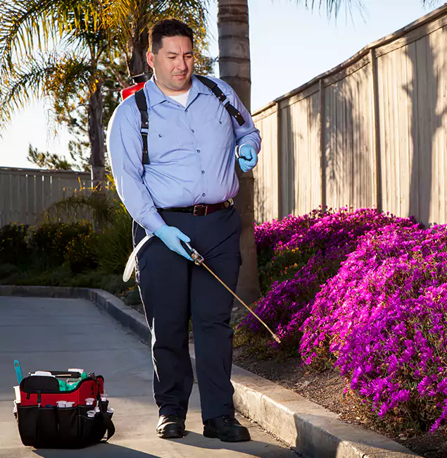Why Choose Bloomfield Pest Control Pro in Bloomfield, NJ?