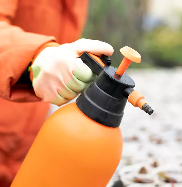 Why Choose Bloomfield Pest Control Pro for Orange Termite Treatment in Bloomfield, NJ?
