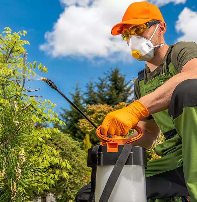 Why Choose Bloomfield Pest Control Pro for Outdoor Pest Control in Bloomfield, NJ?