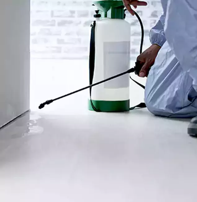 Why Choose Bloomfield Pest Control Pro for Rat Exterminator in Bloomfield, NJ?