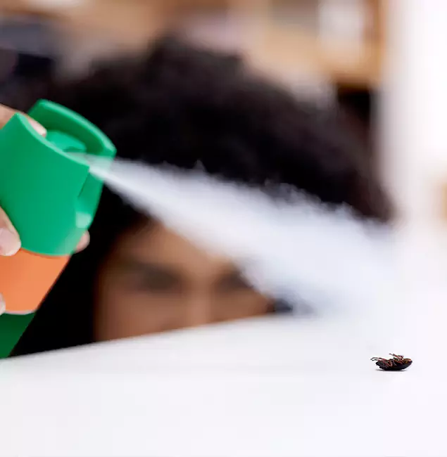 Why Bloomfield, NJ Homeowners Choose Bloomfield Pest Control Pro for Roach Pest Control?