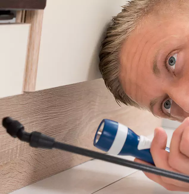 Why Choose Bloomfield Pest Control Pro for Rodent Exterminator in Bloomfield, NJ?
