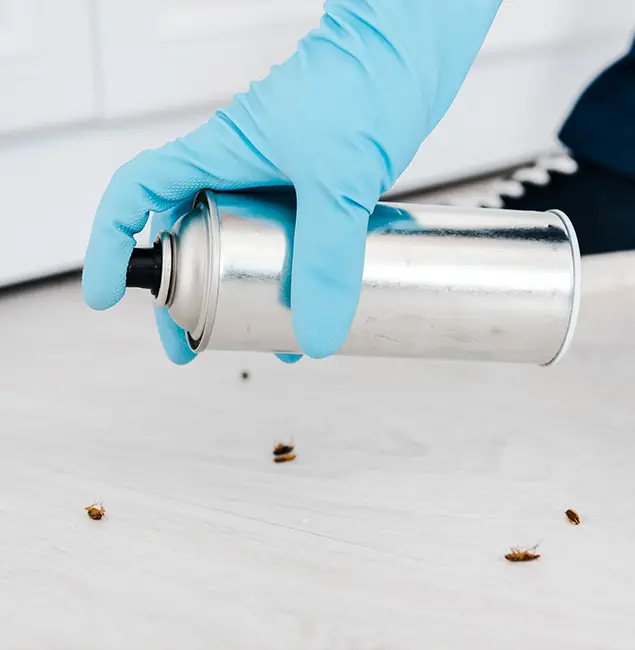 Why Choose Bloomfield Pest Control Pro for Safe Bed Bug Treatment in Bloomfield, NJ?