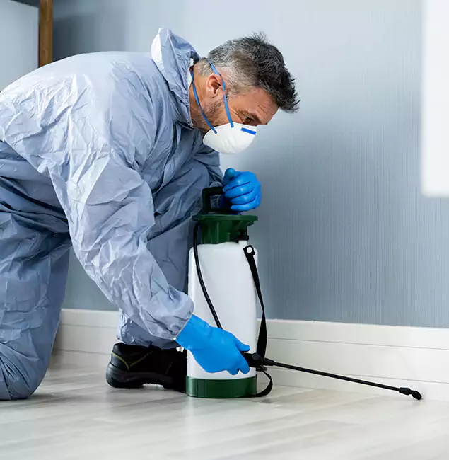 Why Choose Bloomfield Pest Control Pro for Subterranean Termites Treatment in Bloomfield, NJ?