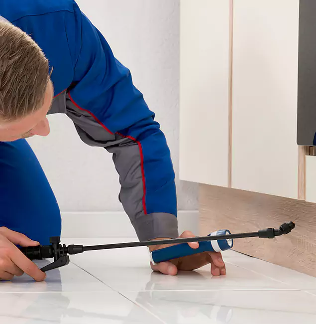 Why Bloomfield Residents Choose Bloomfield Pest Control Pro to Get Rid of Sugar Ants?