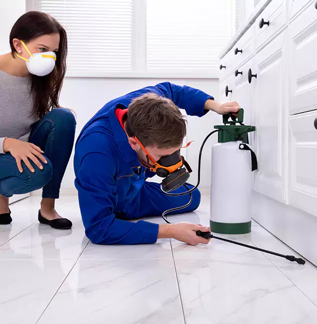 Why Choose Wood Termite Treatment by Bloomfield Pest Control Pro in Bloomfield, NJ?