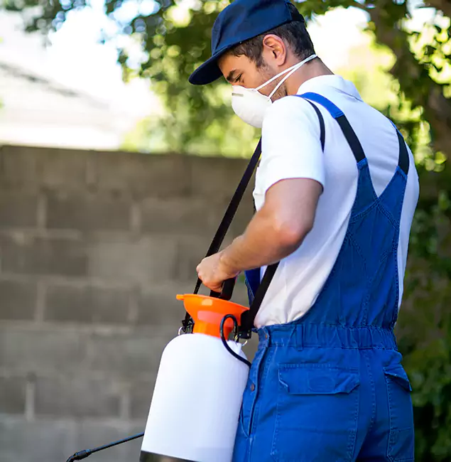 Why Bloomfield Pest Control Pro Is the Right Choice for Yellow Jacket Removal in Bloomfield, NJ?
