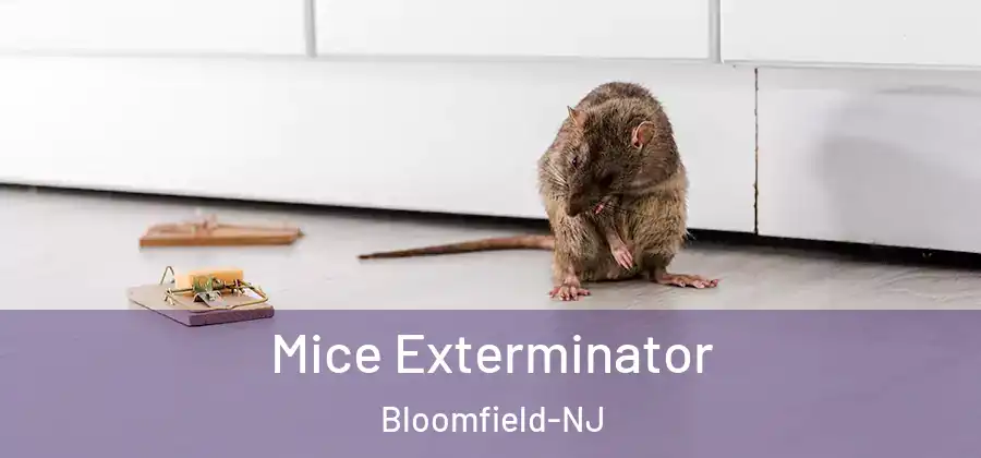 Mice Exterminator Bloomfield-NJ