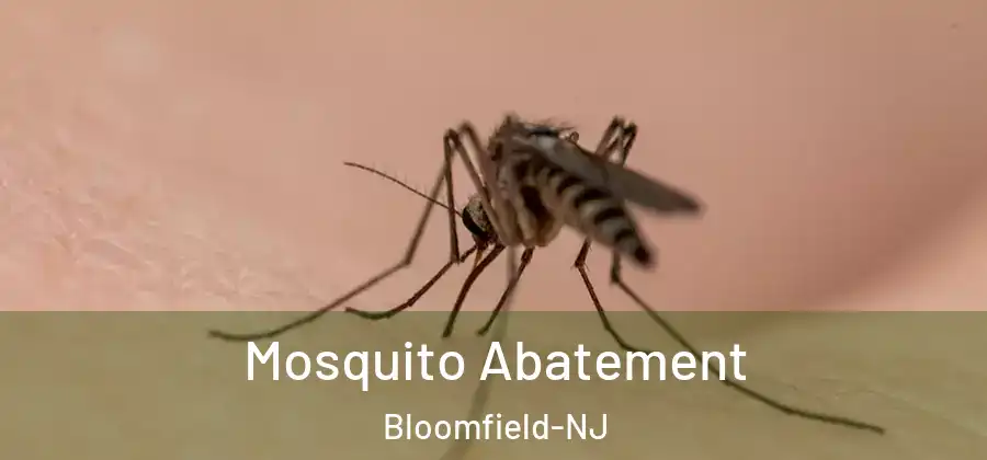 Mosquito Abatement Bloomfield-NJ