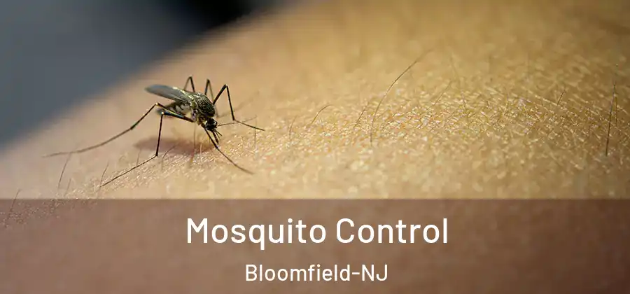 Mosquito Control Bloomfield-NJ